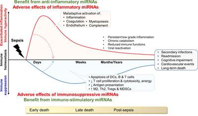 Modes of action and diagnostic value of miRNAs in sepsis